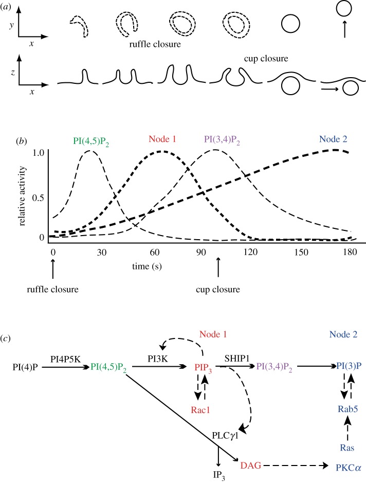 Figure 3.