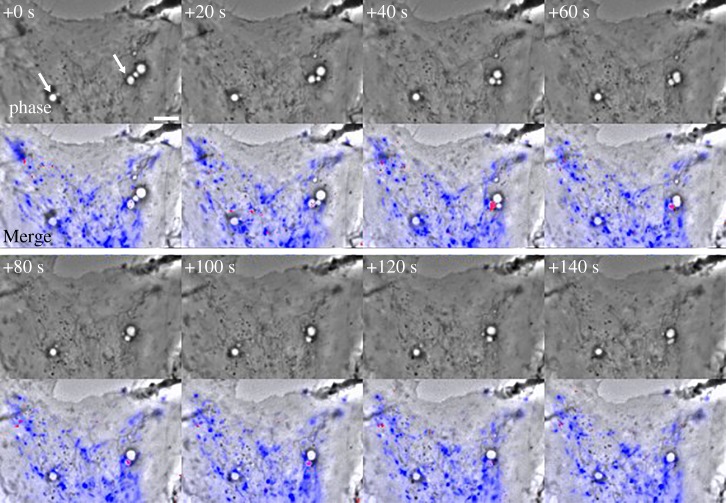 Figure 2.