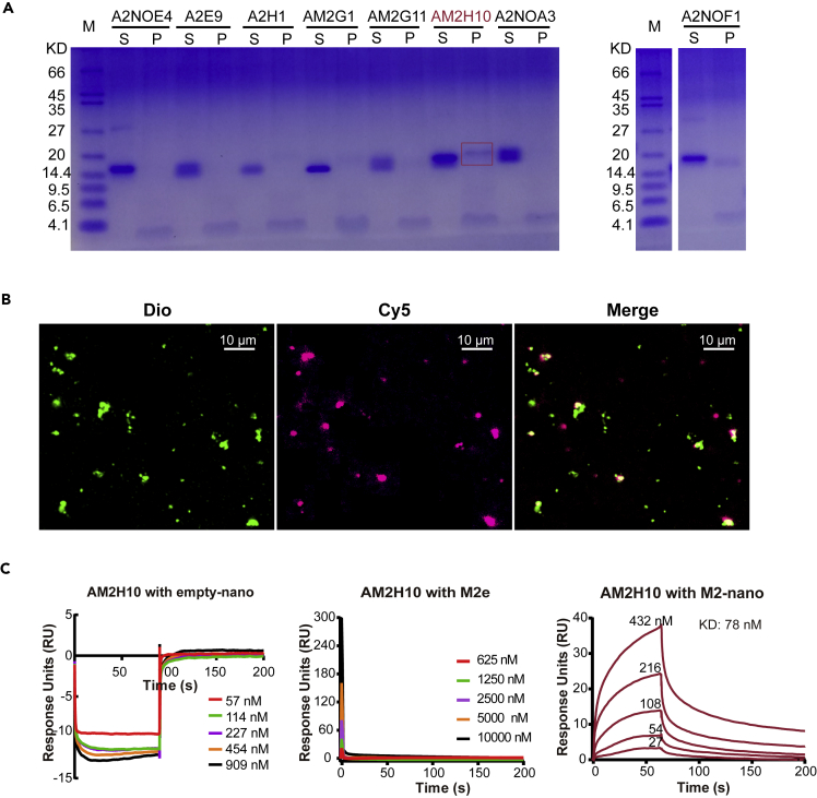 Figure 4