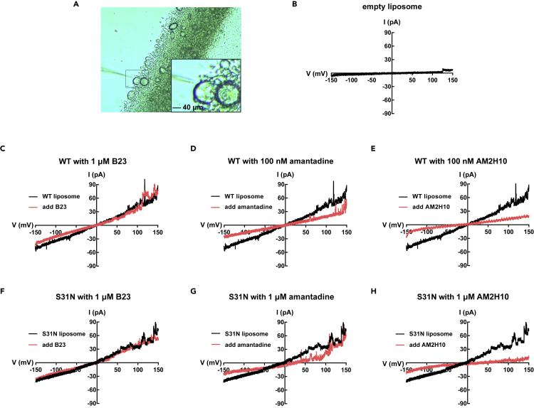 Figure 6