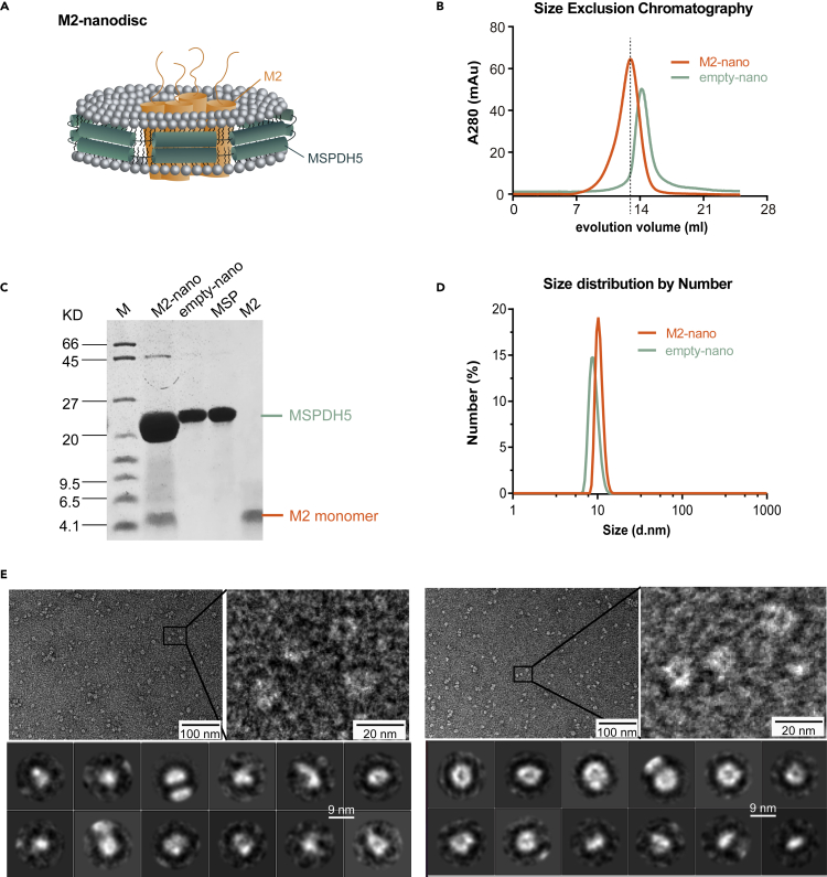 Figure 1