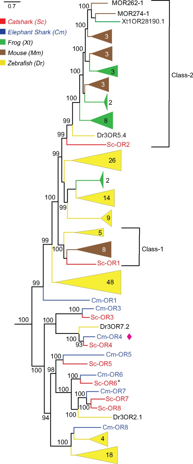 Fig. 3.