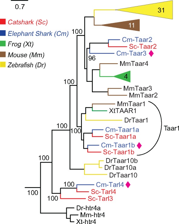 Fig. 4.