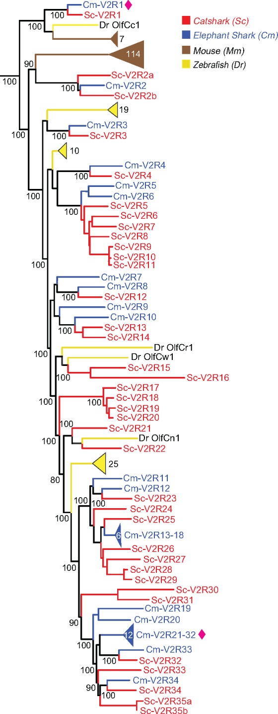 Fig. 2.