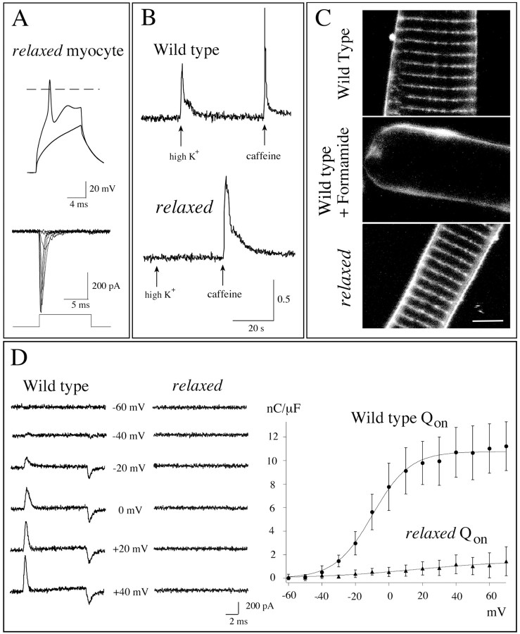 Fig. 3.