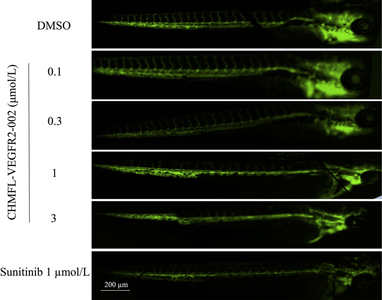 Figure 4