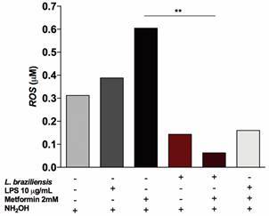 Fig. 4: