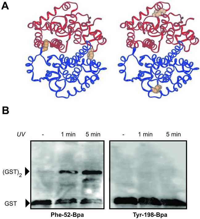 Fig 3.