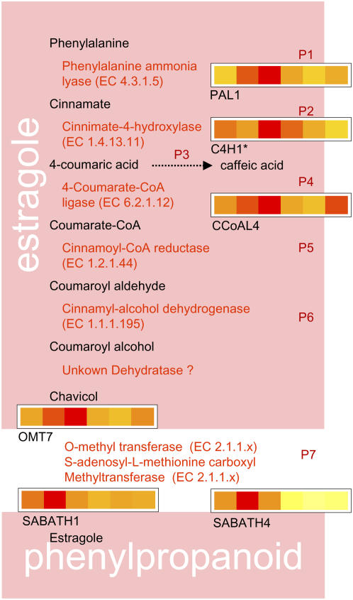 Figure 5.