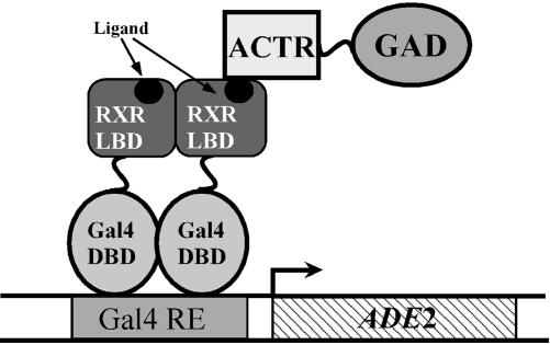 Fig. 1.