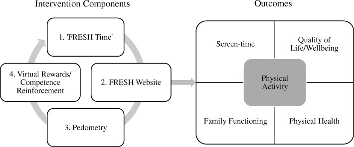 Fig. 1