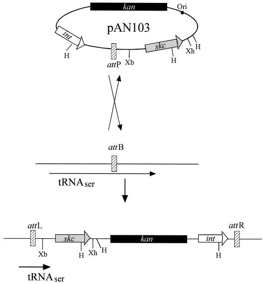 FIG. 1