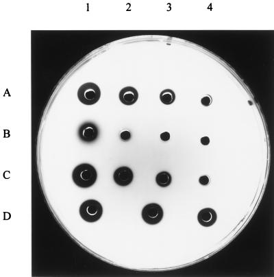 FIG. 3