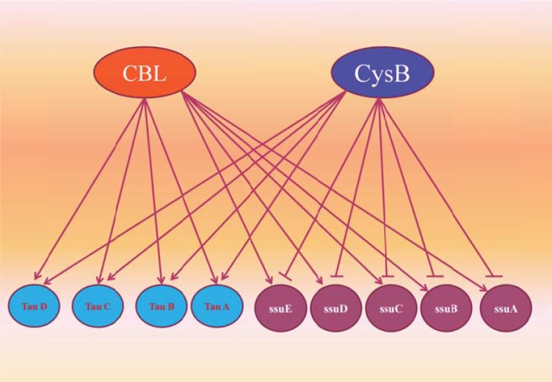 Fig. (5)