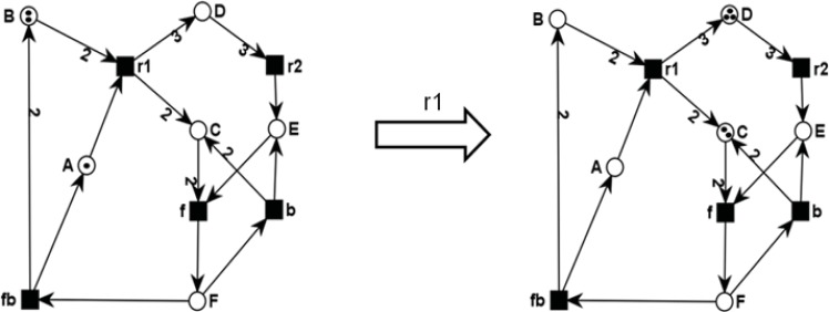 Fig. (10)