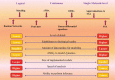 Fig. (8)