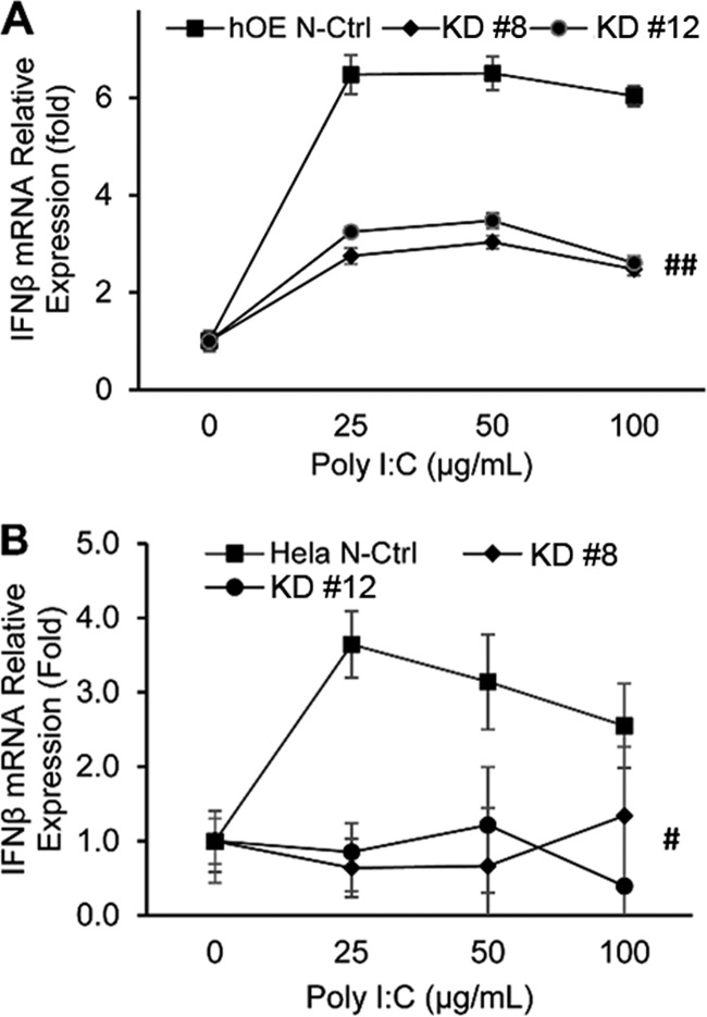 FIG 3