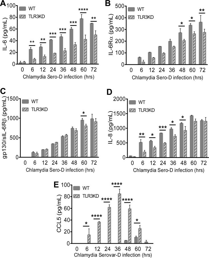 FIG 6