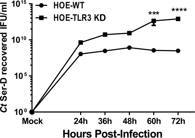 FIG 13