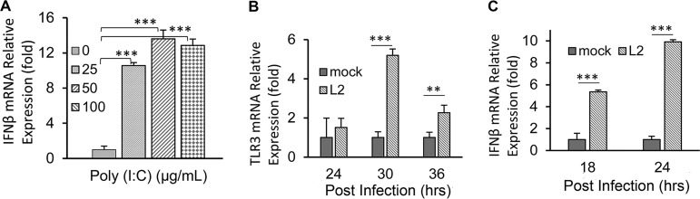 FIG 1