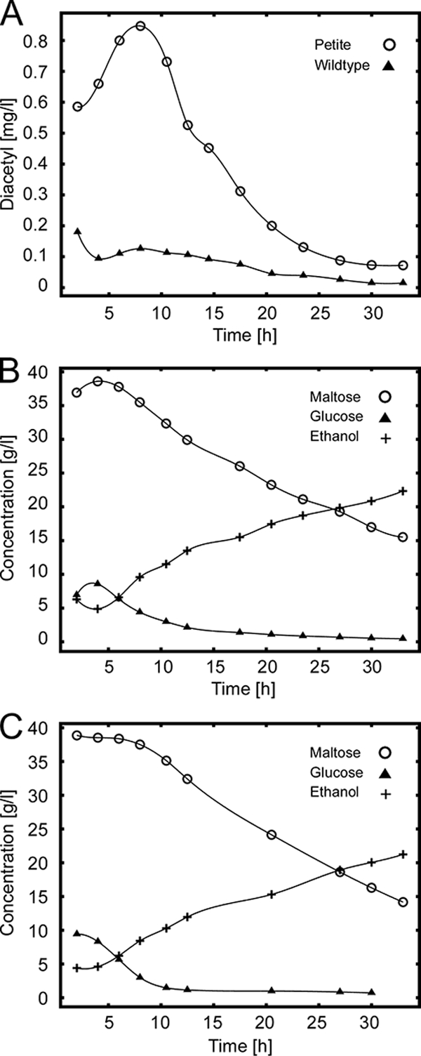 FIG. 1.