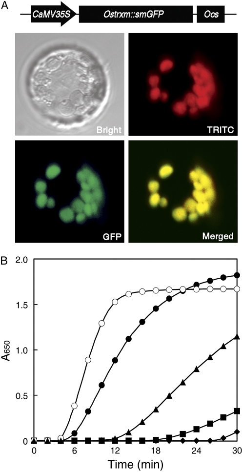 Figure 2.