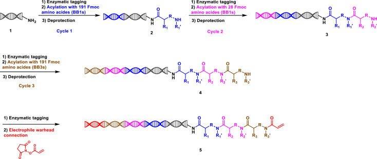 Scheme 1