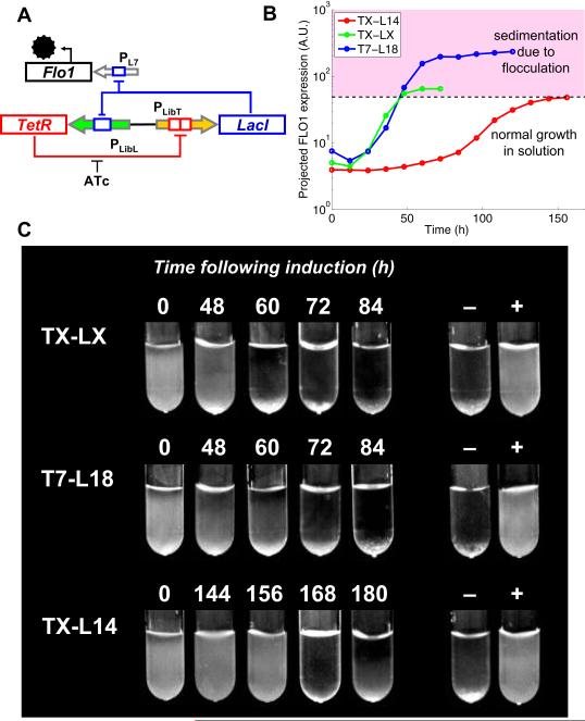 Figure 4