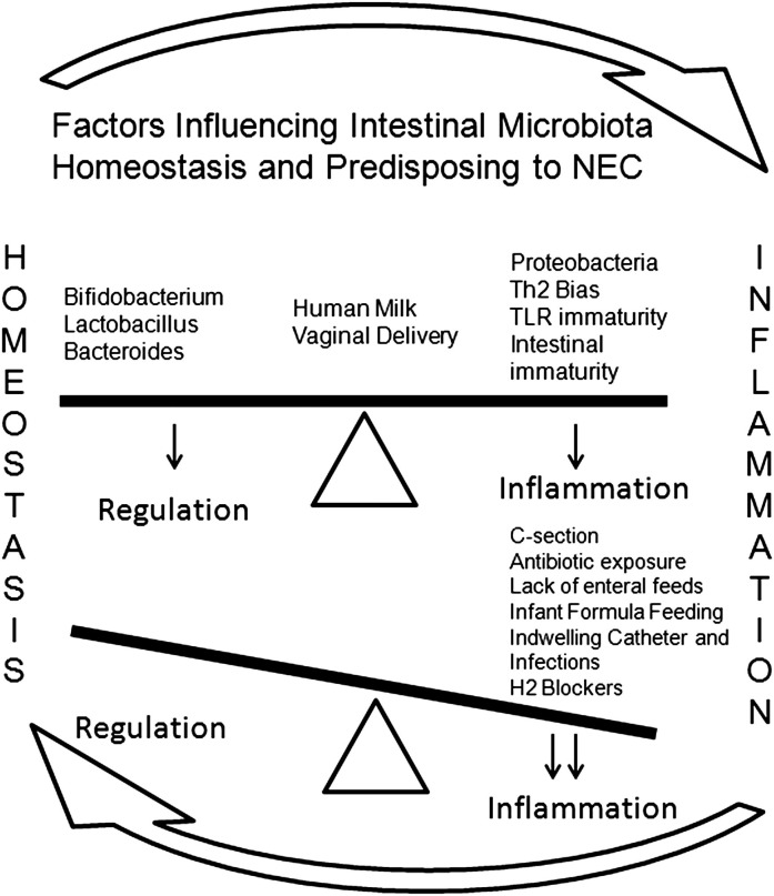 Fig. 3