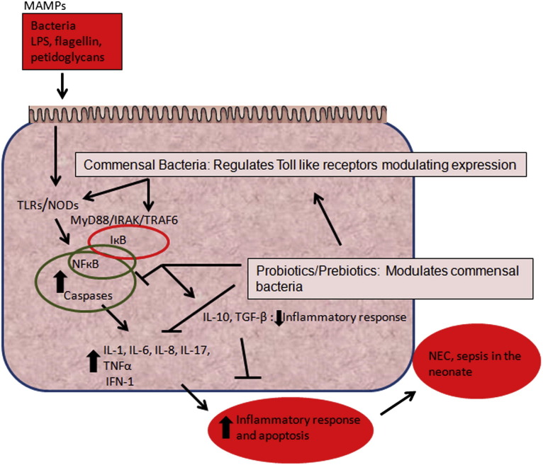 Fig. 4