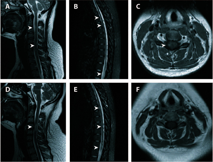 Figure 2