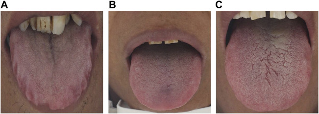 FIGURE 1