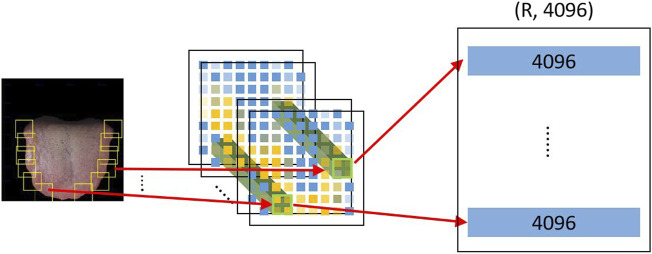 FIGURE 4