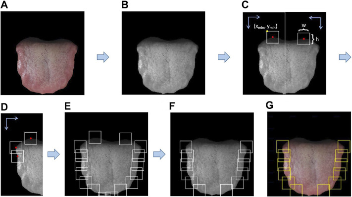 FIGURE 6