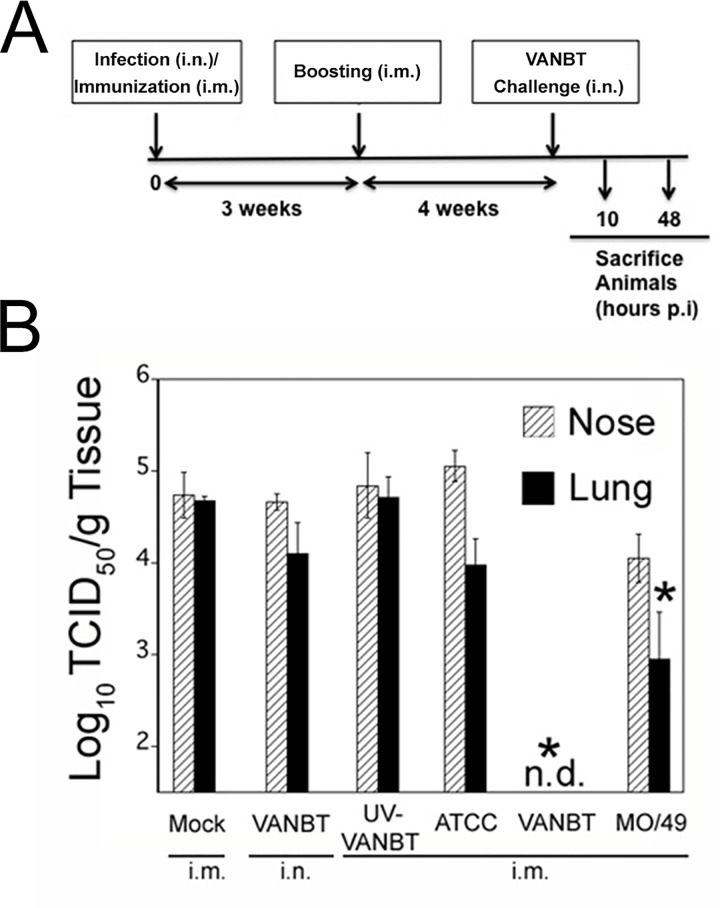 Fig 5