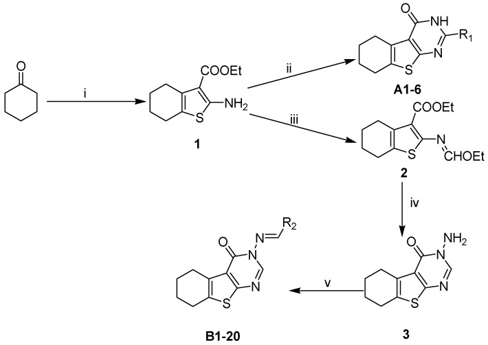 Scheme 2