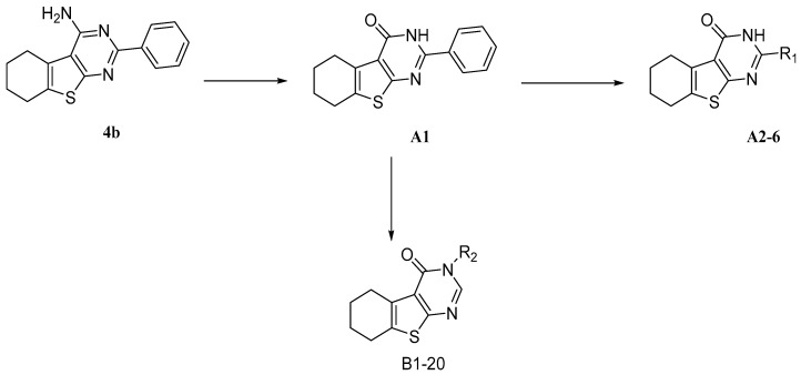 Scheme 1