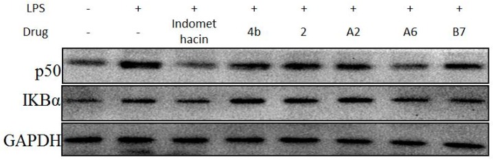 Figure 10