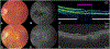 Figure 3 –