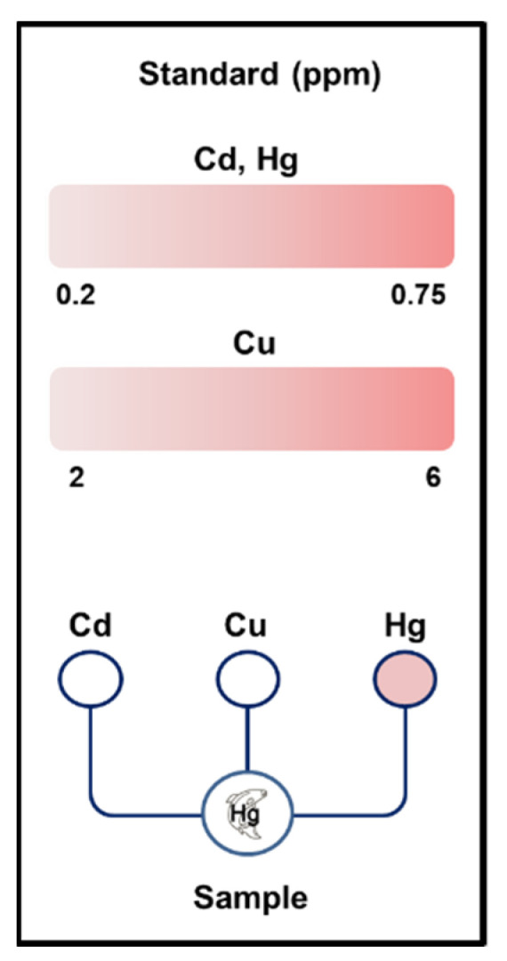 Figure A2