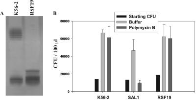 FIG. 7.