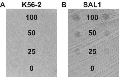 FIG. 5.