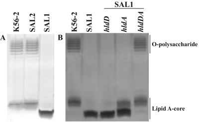 FIG. 4.