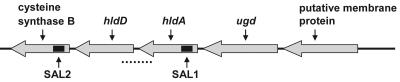 FIG. 2.