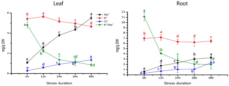 Figure 5