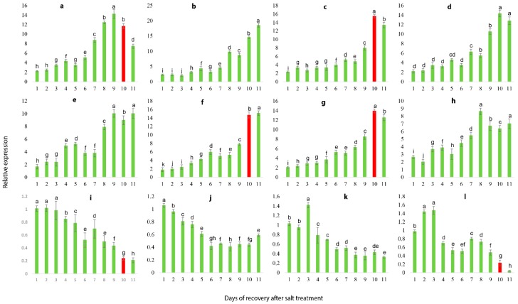 Figure 11