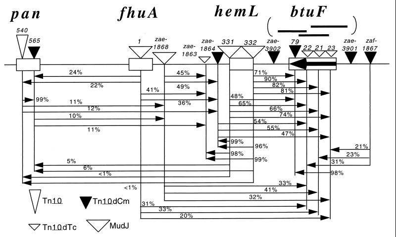 FIG. 1