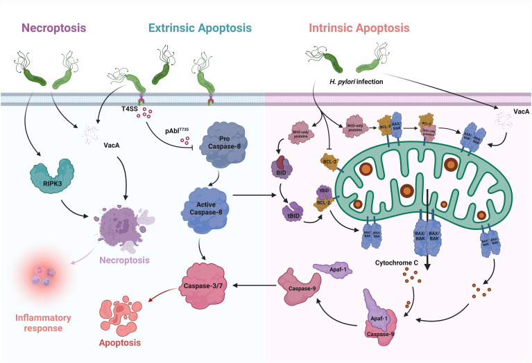 Figure 1