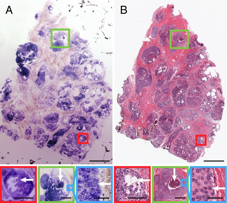 Fig. 3.