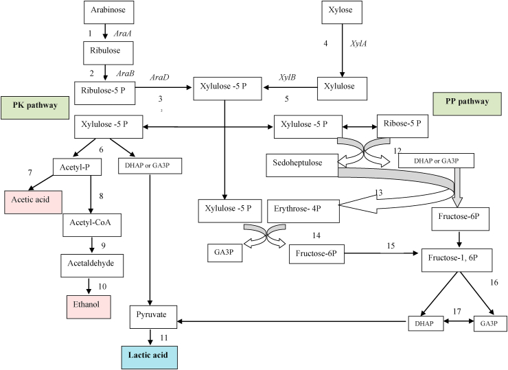 Figure 2